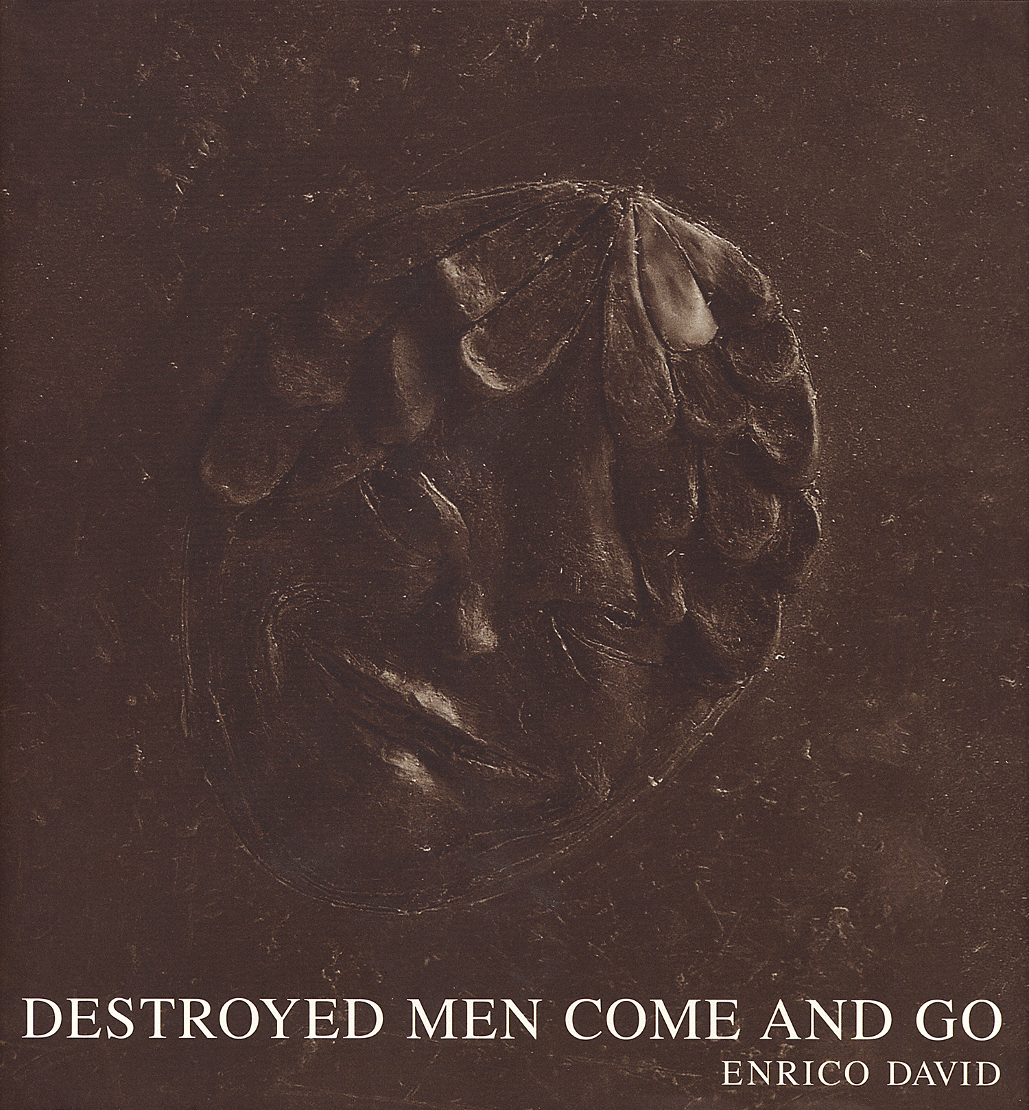 Enrico David - Destroyed Men Come and Go