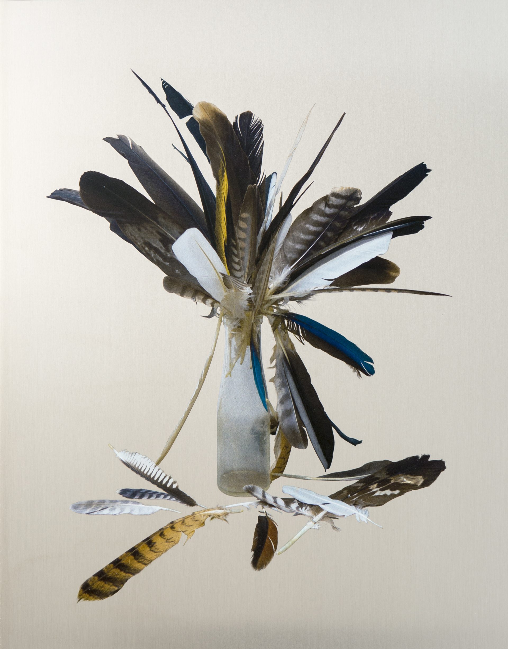 Klaus Weber – Federnstrauß