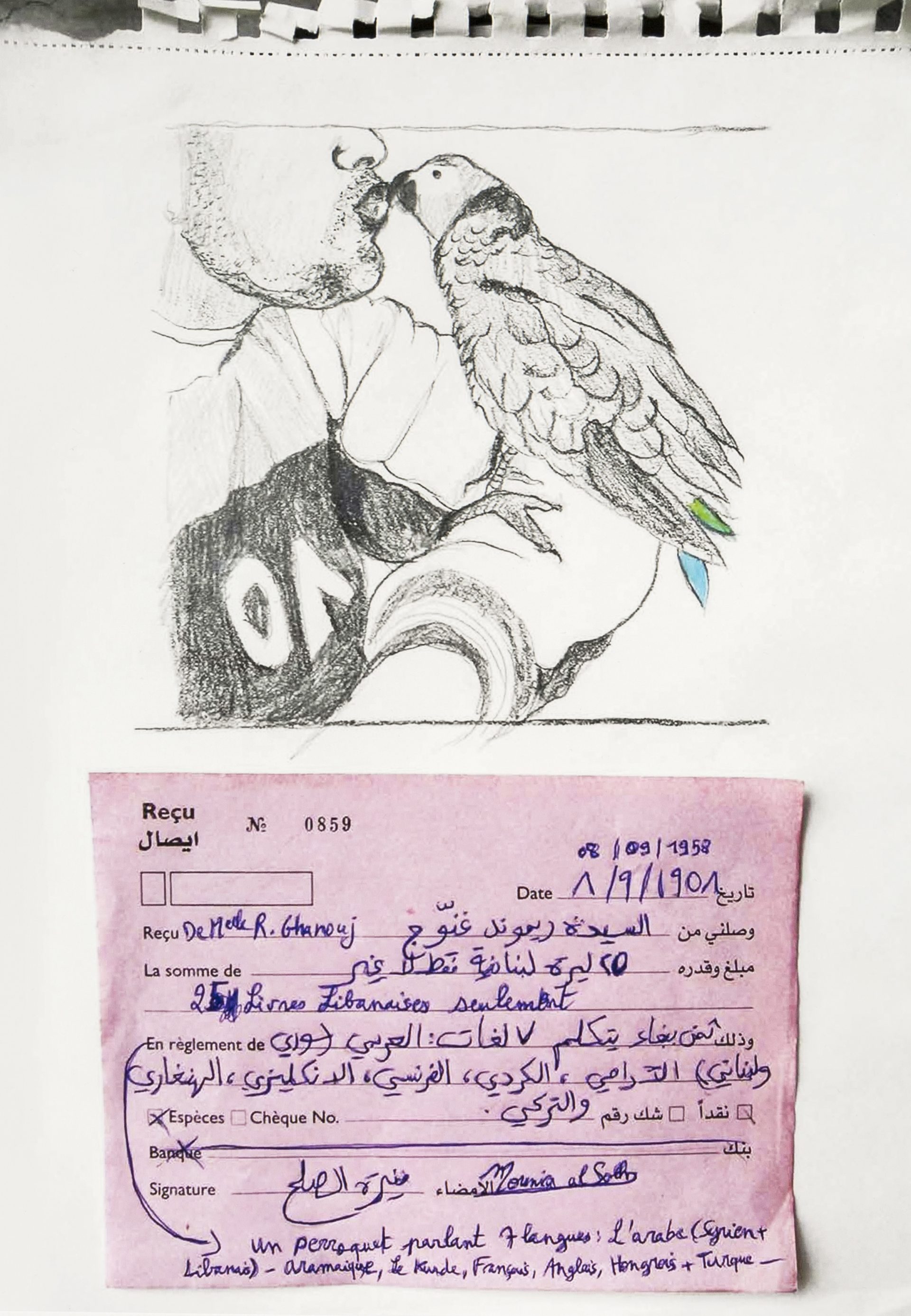 Mounira Al Solh – I want to be a Party – Parrot sold by uncle, during the 1958 Revolution – With or Against Abdel Nasser?