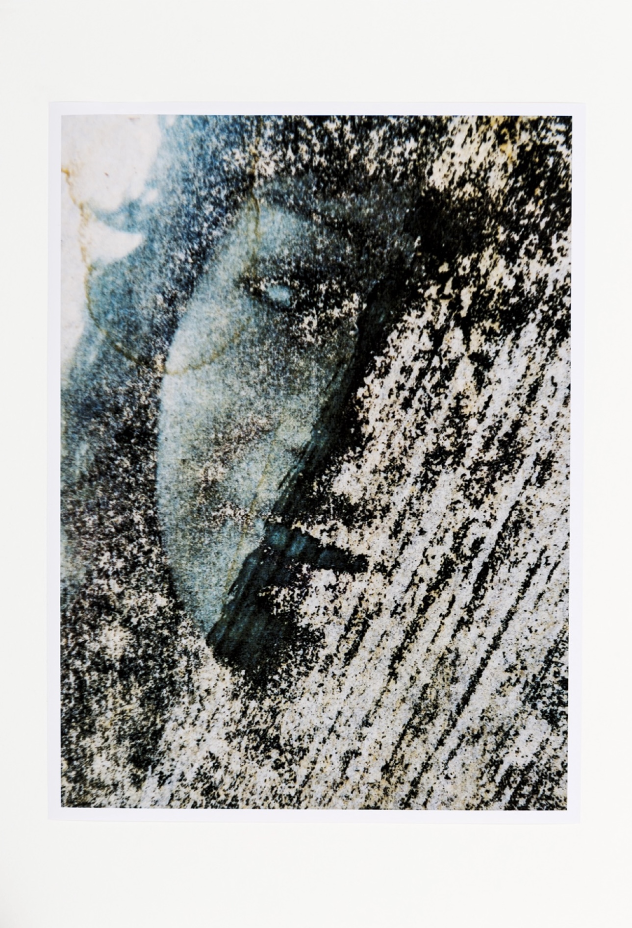 Teresa Margolles – Pesquisa (Inquiry)